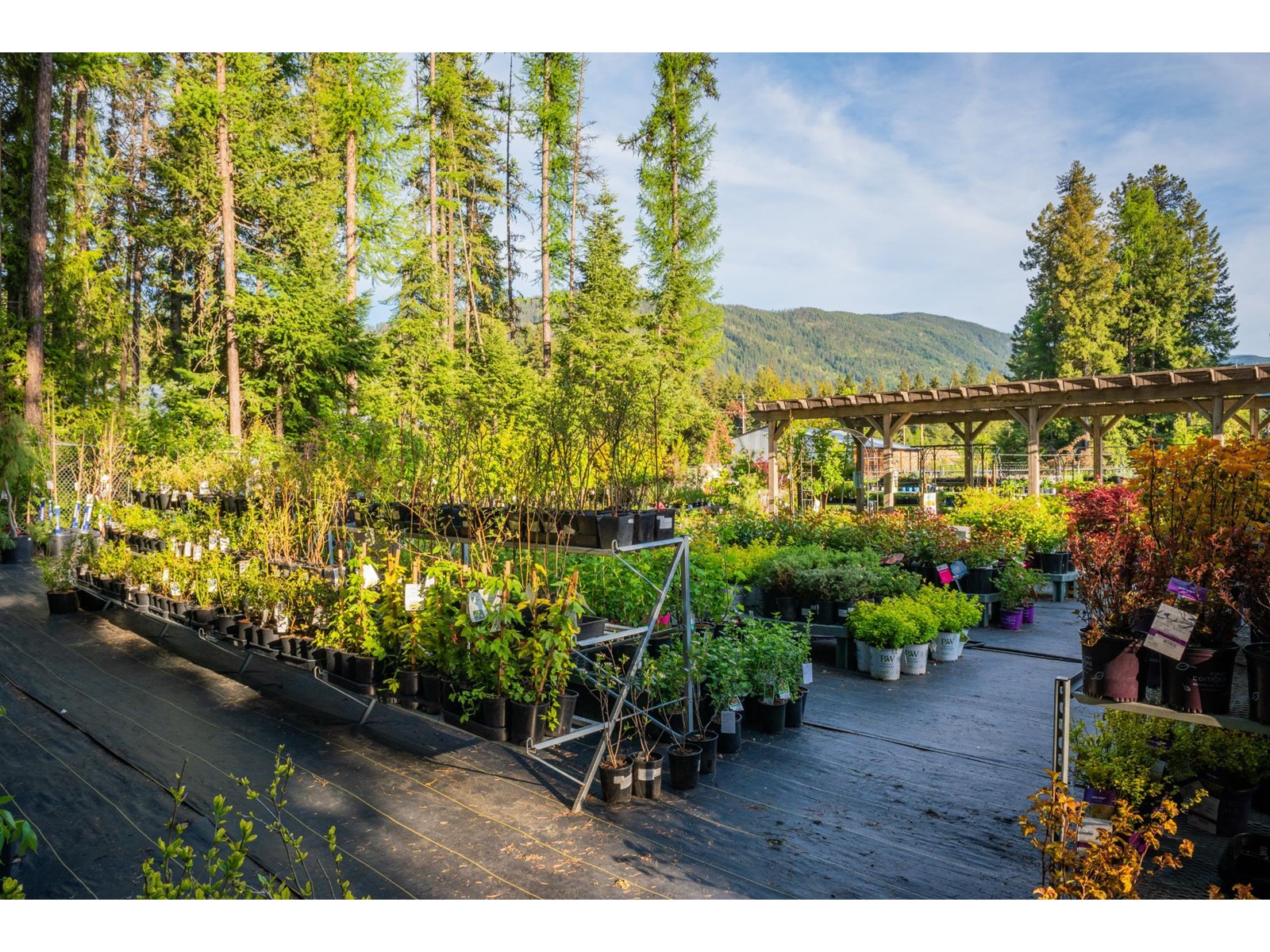 2811 Popoff Road, South Slocan To Passmore, British Columbia  V0G 2G1 - Photo 38 - 2477036