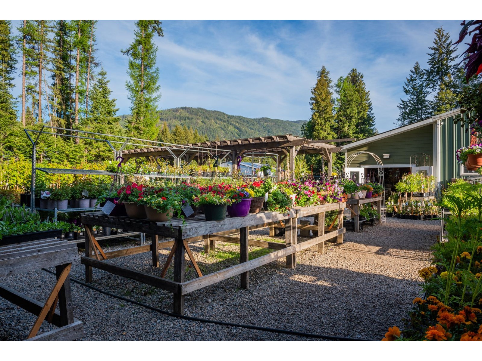 2811 Popoff Road, South Slocan To Passmore, British Columbia  V0G 2G1 - Photo 39 - 2477036