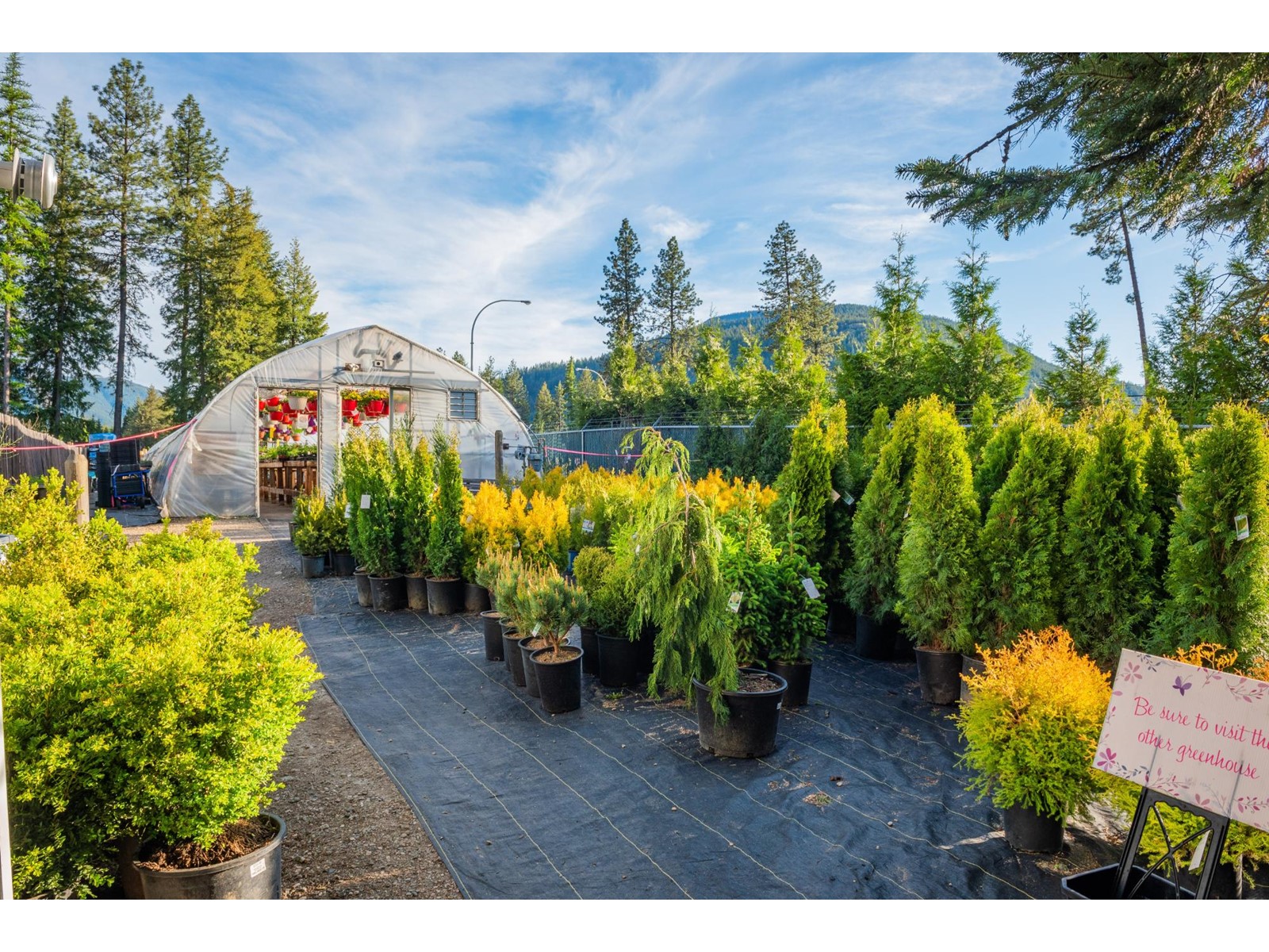 2811 Popoff Road, South Slocan To Passmore, British Columbia  V0G 2G1 - Photo 45 - 2477036