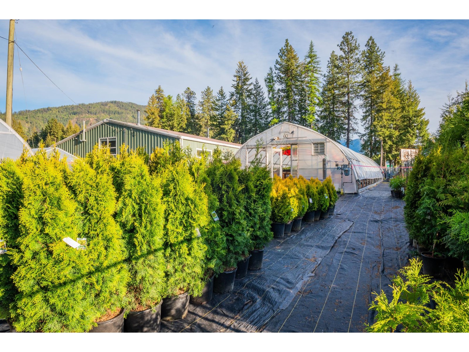 2811 Popoff Road, South Slocan To Passmore, British Columbia  V0G 2G1 - Photo 46 - 2477036