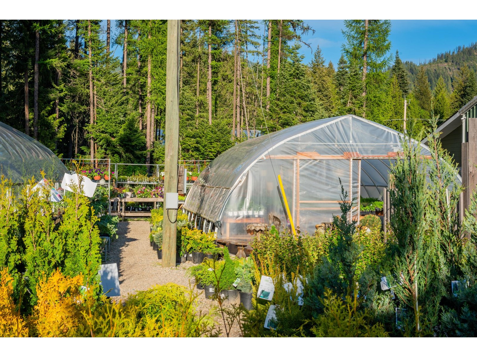 2811 Popoff Road, South Slocan To Passmore, British Columbia  V0G 2G1 - Photo 47 - 2477036