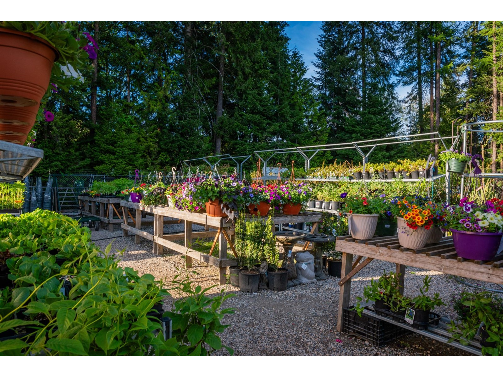 2811 Popoff Road, South Slocan To Passmore, British Columbia  V0G 2G1 - Photo 53 - 2477036