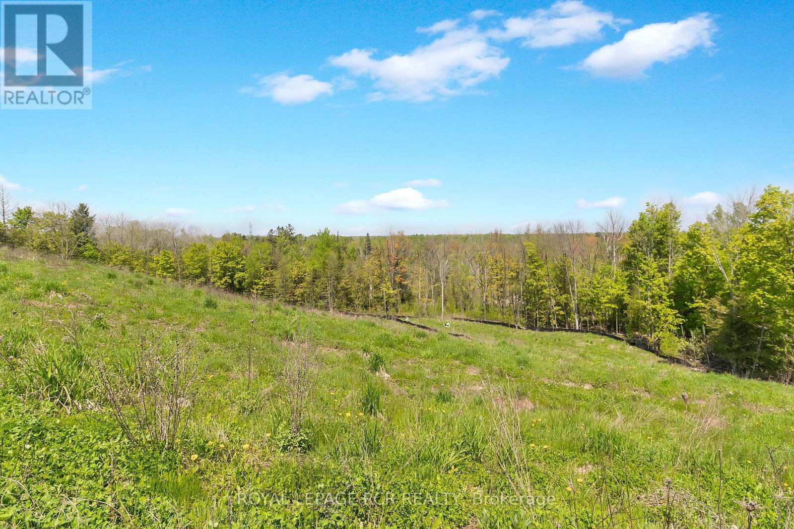 6651 Third Line, Essa, Ontario  L9R 1V2 - Photo 10 - N8350072
