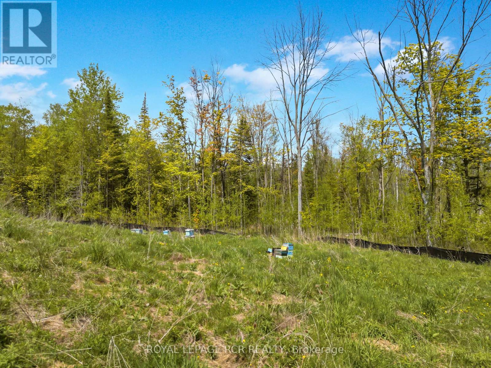 6651 Third Line, Essa, Ontario  L9R 1V2 - Photo 9 - N8350072