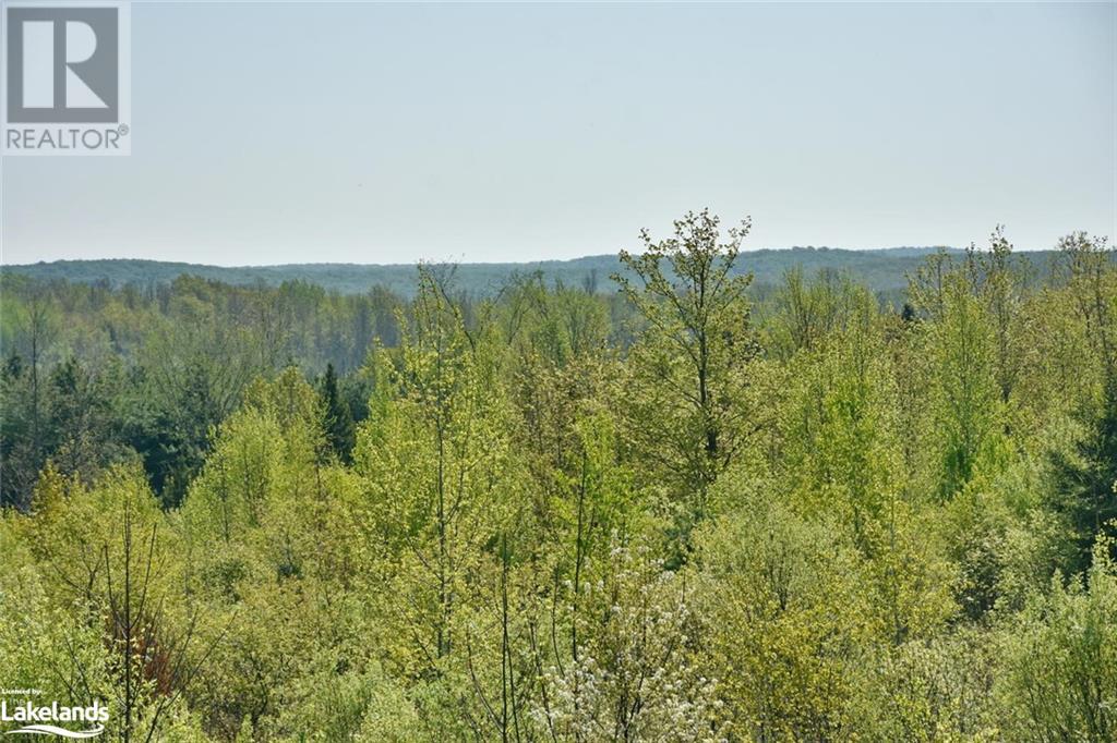 355310 Blue Mountains Euphrasia Townline, Clarksburg, Ontario  N0H 1J0 - Photo 26 - 40590893