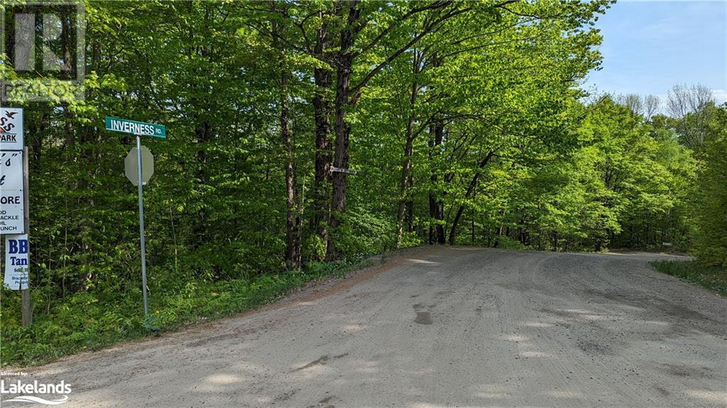 1 Northshore Road, Utterson, Ontario  P0B 1M0 - Photo 13 - 40590324