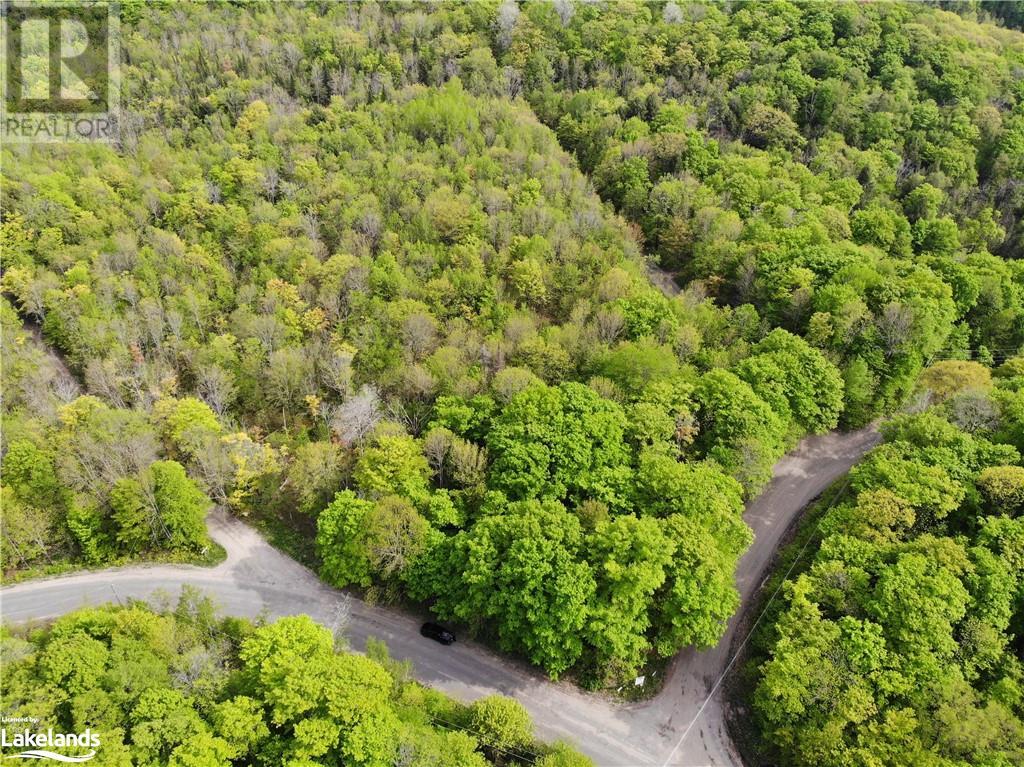 1 Northshore Road, Utterson, Ontario  P0B 1M0 - Photo 3 - 40590324