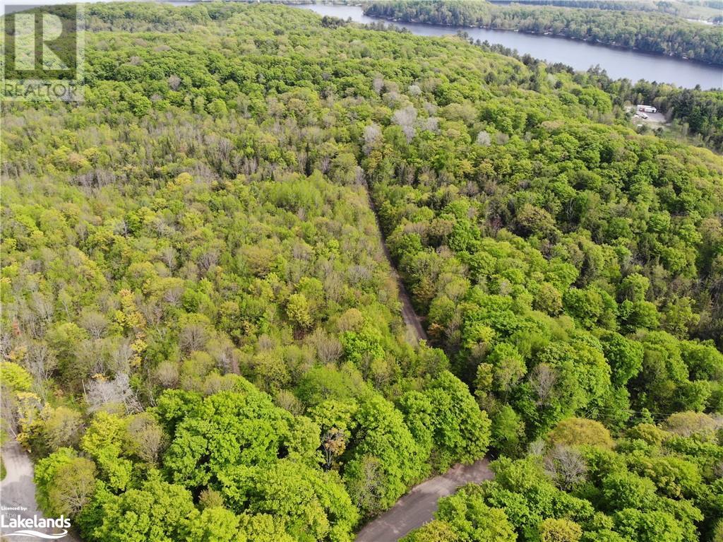 1 Northshore Road, Utterson, Ontario  P0B 1M0 - Photo 4 - 40590324
