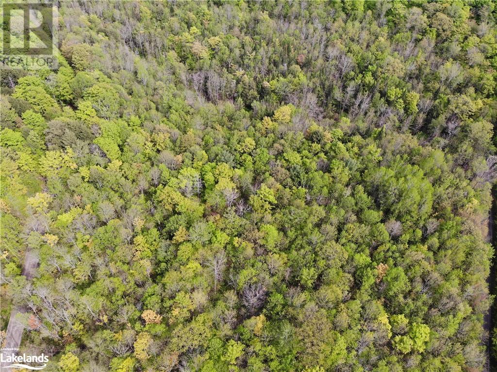 1 Northshore Road, Utterson, Ontario  P0B 1M0 - Photo 7 - 40590324