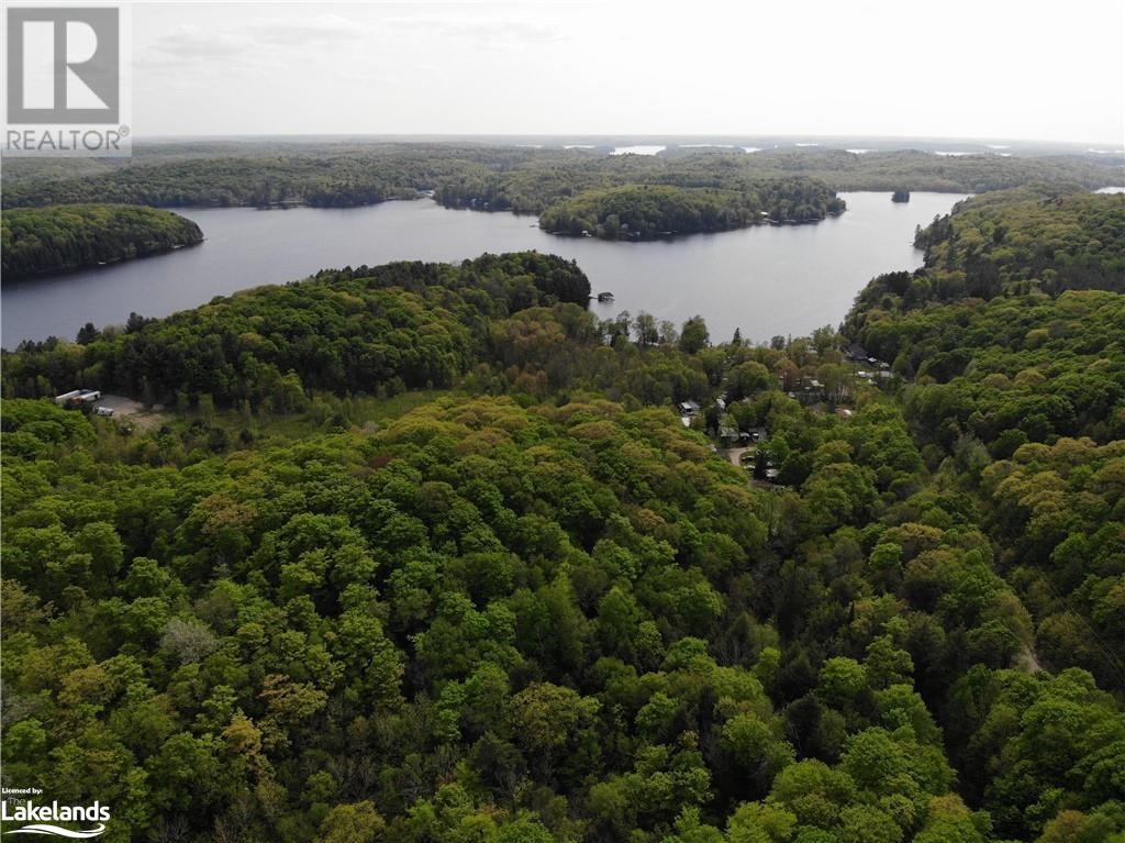 1 Northshore Road, Utterson, Ontario  P0B 1M0 - Photo 9 - 40590324