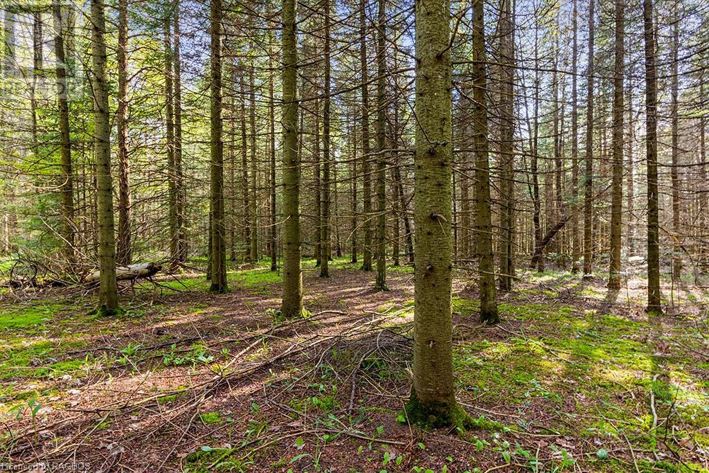 132 Southview Lane, Grey Highlands, Ontario  N0C 1B0 - Photo 18 - 40589055