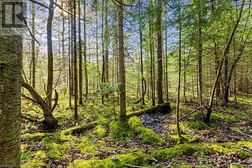 132 Southview Lane, Grey Highlands, Ontario  N0C 1B0 - Photo 20 - 40589055