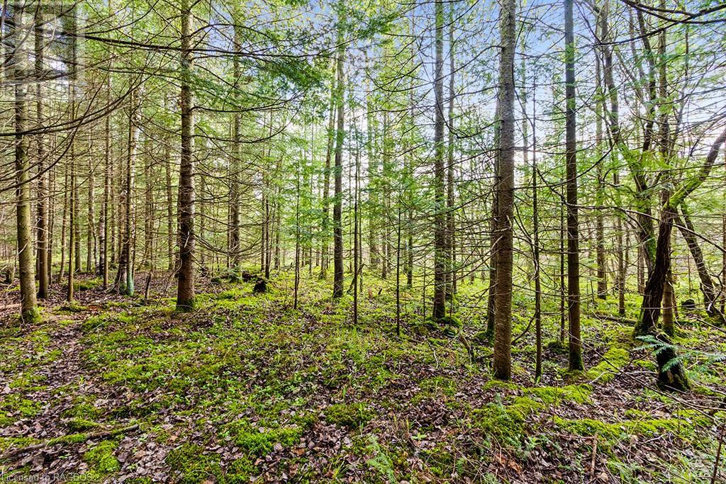 132 Southview Lane, Grey Highlands, Ontario  N0C 1B0 - Photo 21 - 40589055