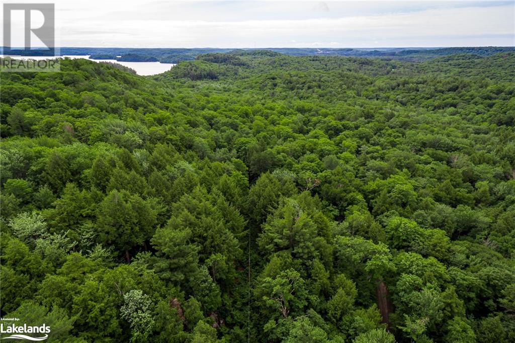 Lot#70 Pine Crescent, Huntsville, Ontario  P1H 2J2 - Photo 23 - 40590643