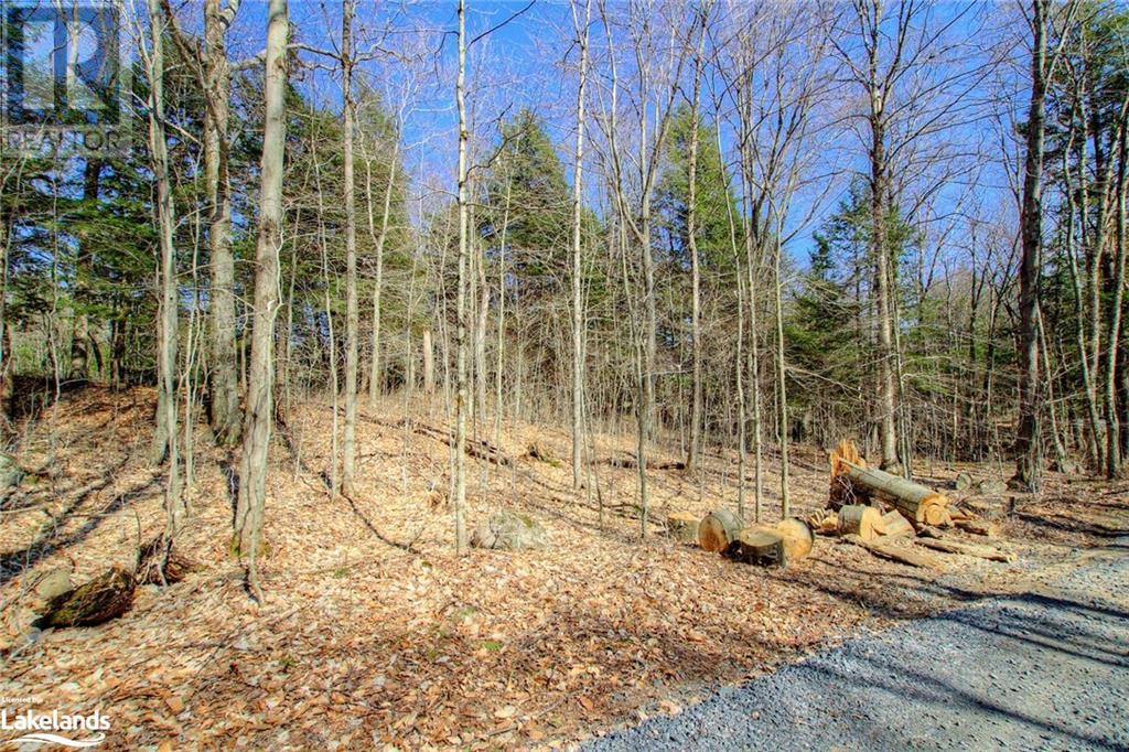 Lot#70 Pine Crescent, Huntsville, Ontario  P1H 2J2 - Photo 31 - 40590643