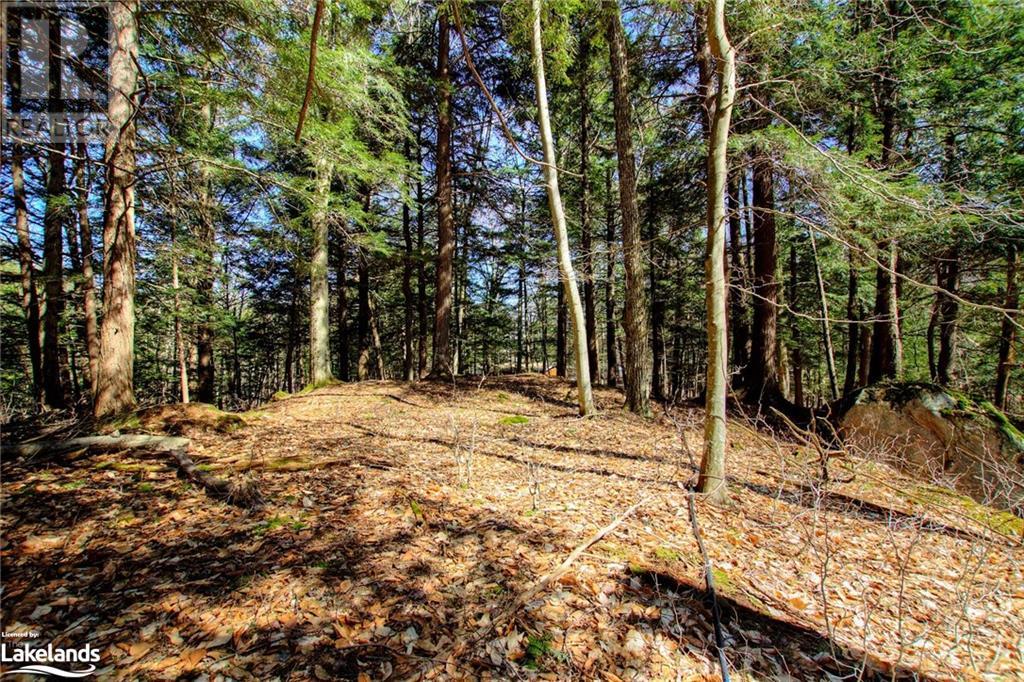 Lot#70 Pine Crescent, Huntsville, Ontario  P1H 2J2 - Photo 33 - 40590643