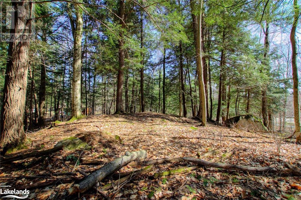 Lot#70 Pine Crescent, Huntsville, Ontario  P1H 2J2 - Photo 34 - 40590643