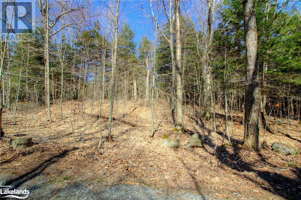 Lot#70 Pine Crescent, Huntsville, Ontario  P1H 2J2 - Photo 35 - 40590643