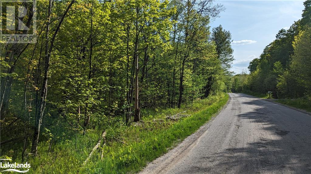 2 Northshore Road, Utterson, Ontario  P0B 1M0 - Photo 10 - 40590356