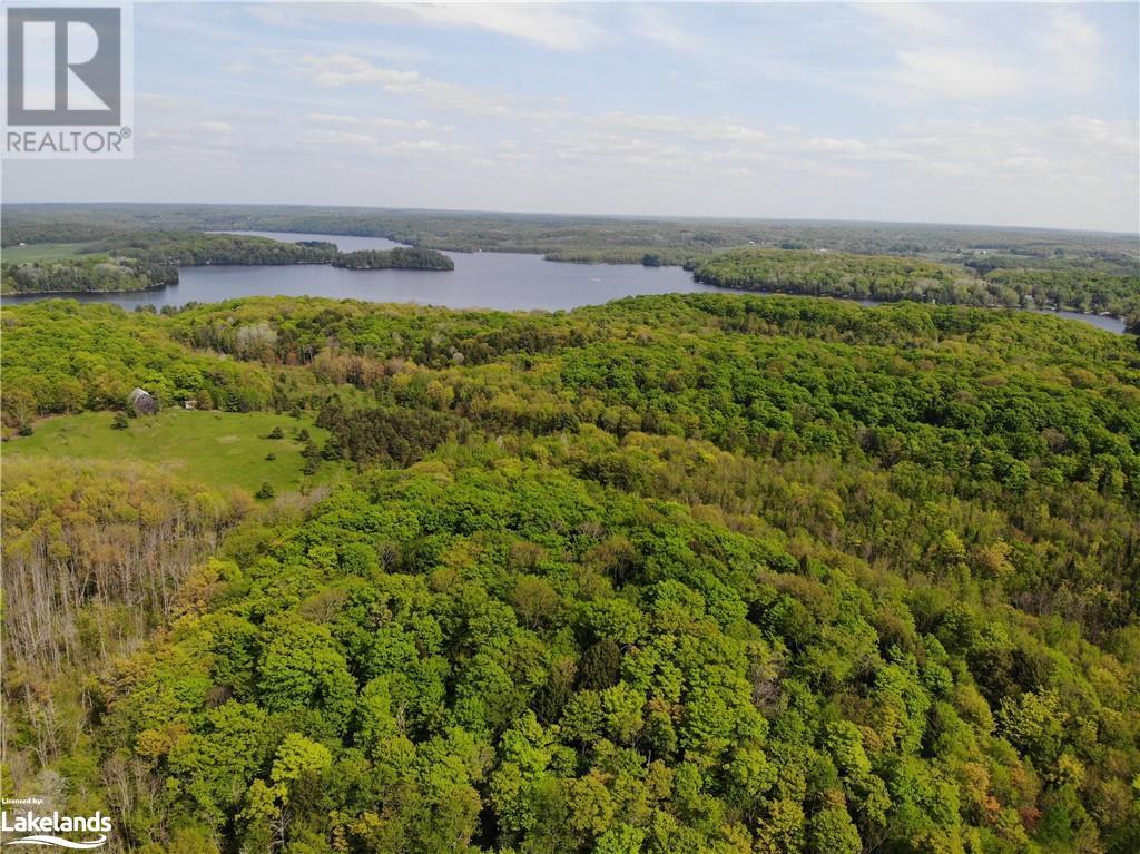 2 Northshore Road, Utterson, Ontario  P0B 1M0 - Photo 6 - 40590356