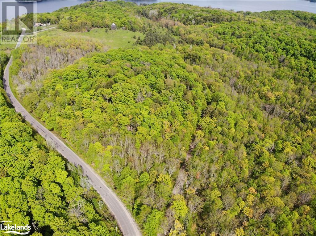 2 Northshore Road, Utterson, Ontario  P0B 1M0 - Photo 3 - 40590356