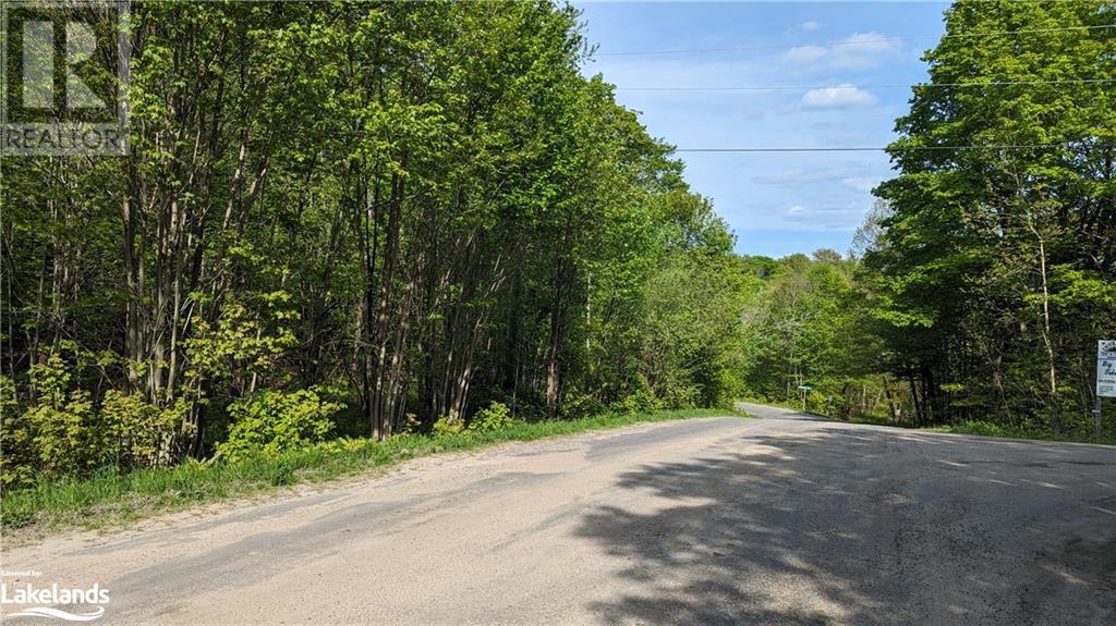 3 Northshore Road, Utterson, Ontario  P0B 1M0 - Photo 9 - 40591496