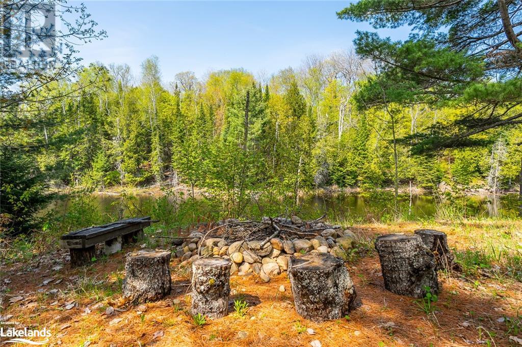 2460 Fred Jones Road, Haliburton, Ontario  K0M 1S0 - Photo 36 - 40579583