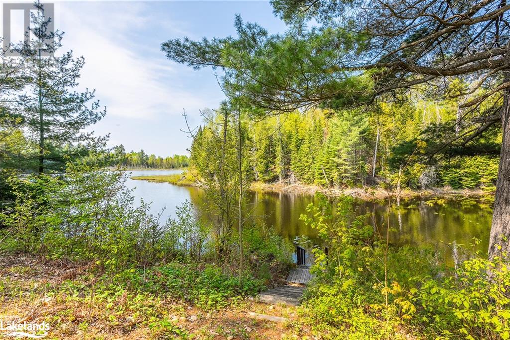 2460 Fred Jones Road, Haliburton, Ontario  K0M 1S0 - Photo 44 - 40579583