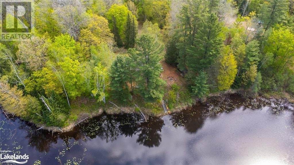 2460 Fred Jones Road, Haliburton, Ontario  K0M 1S0 - Photo 46 - 40579583