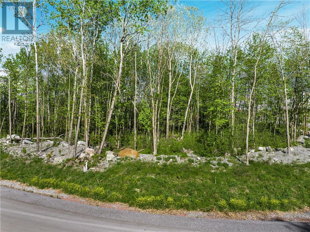 91 Soulanges Street, L'orignal, Ontario  K0B 1K0 - Photo 6 - 1392125