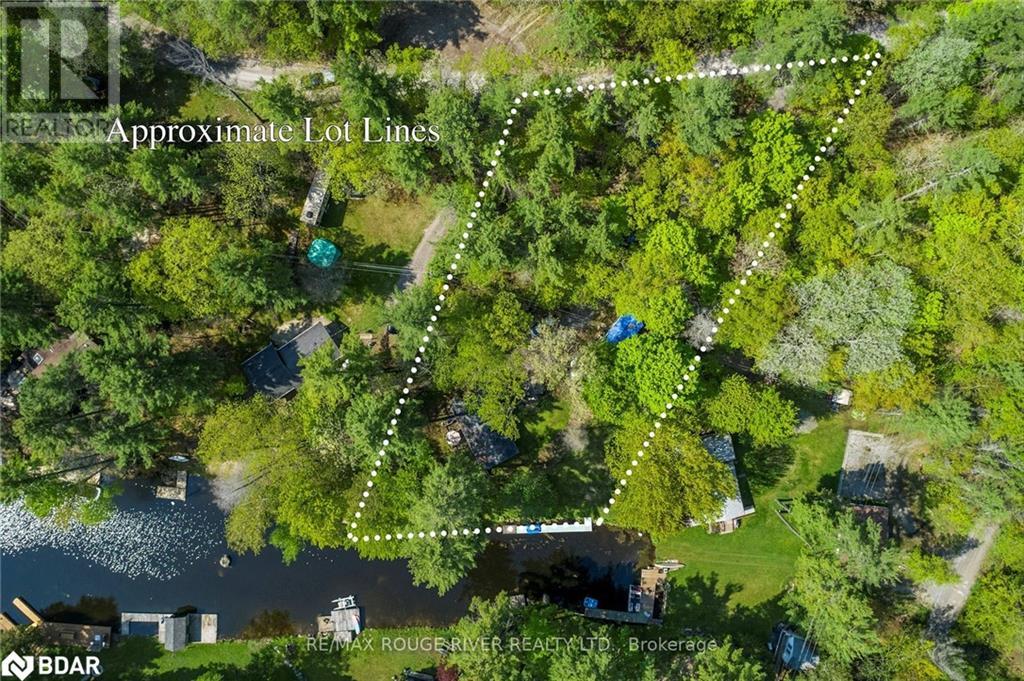 2743 Tedford Drive, Smith-Ennismore, Ontario  K0L 2H0 - Photo 36 - 40591142