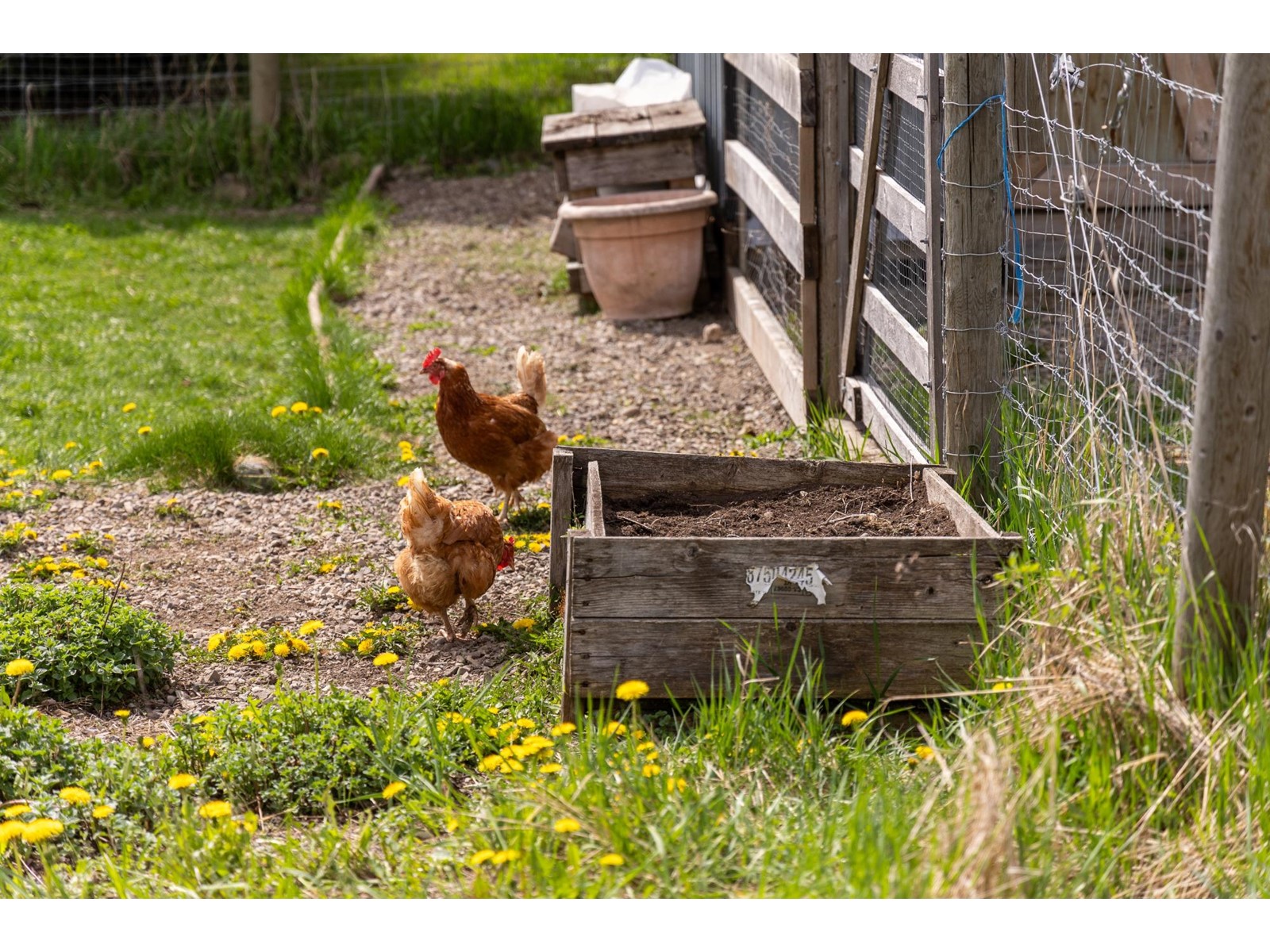 4103 Hill Road, Fernie, British Columbia  V0B 1M4 - Photo 40 - 2477069