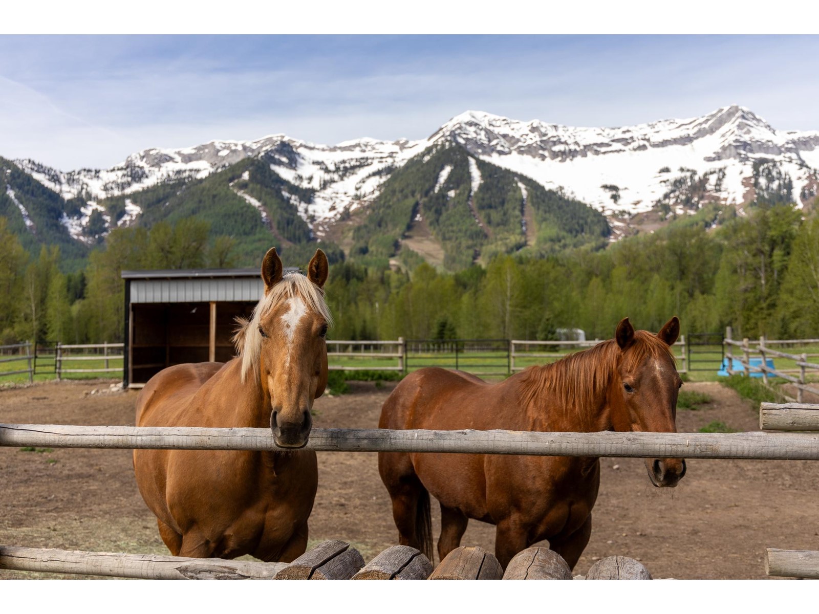 4103 Hill Road, Fernie, British Columbia  V0B 1M4 - Photo 45 - 2477069
