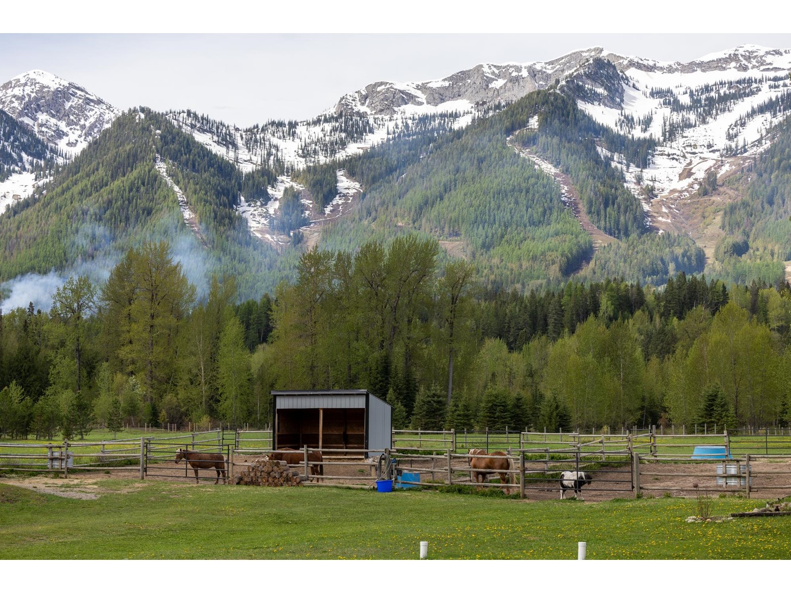 4103 Hill Road, Fernie, British Columbia  V0B 1M4 - Photo 5 - 2477069