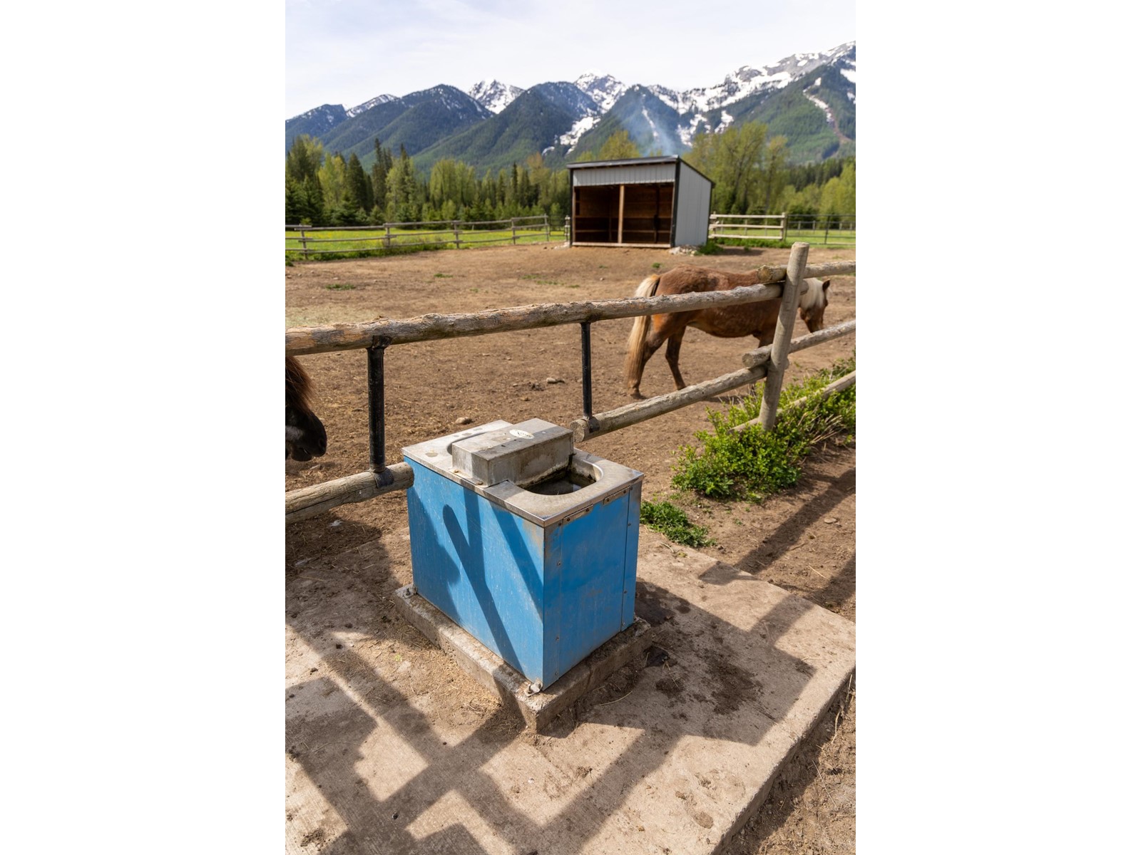 4103 Hill Road, Fernie, British Columbia  V0B 1M4 - Photo 50 - 2477069