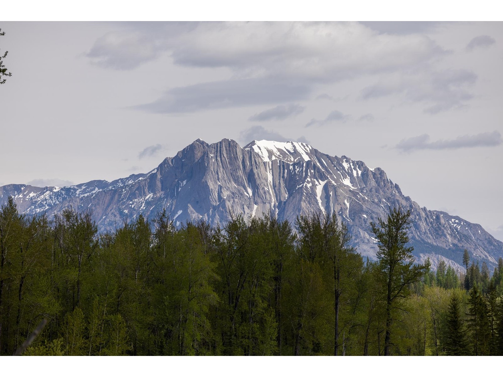 4103 Hill Road, Fernie, British Columbia  V0B 1M4 - Photo 53 - 2477069