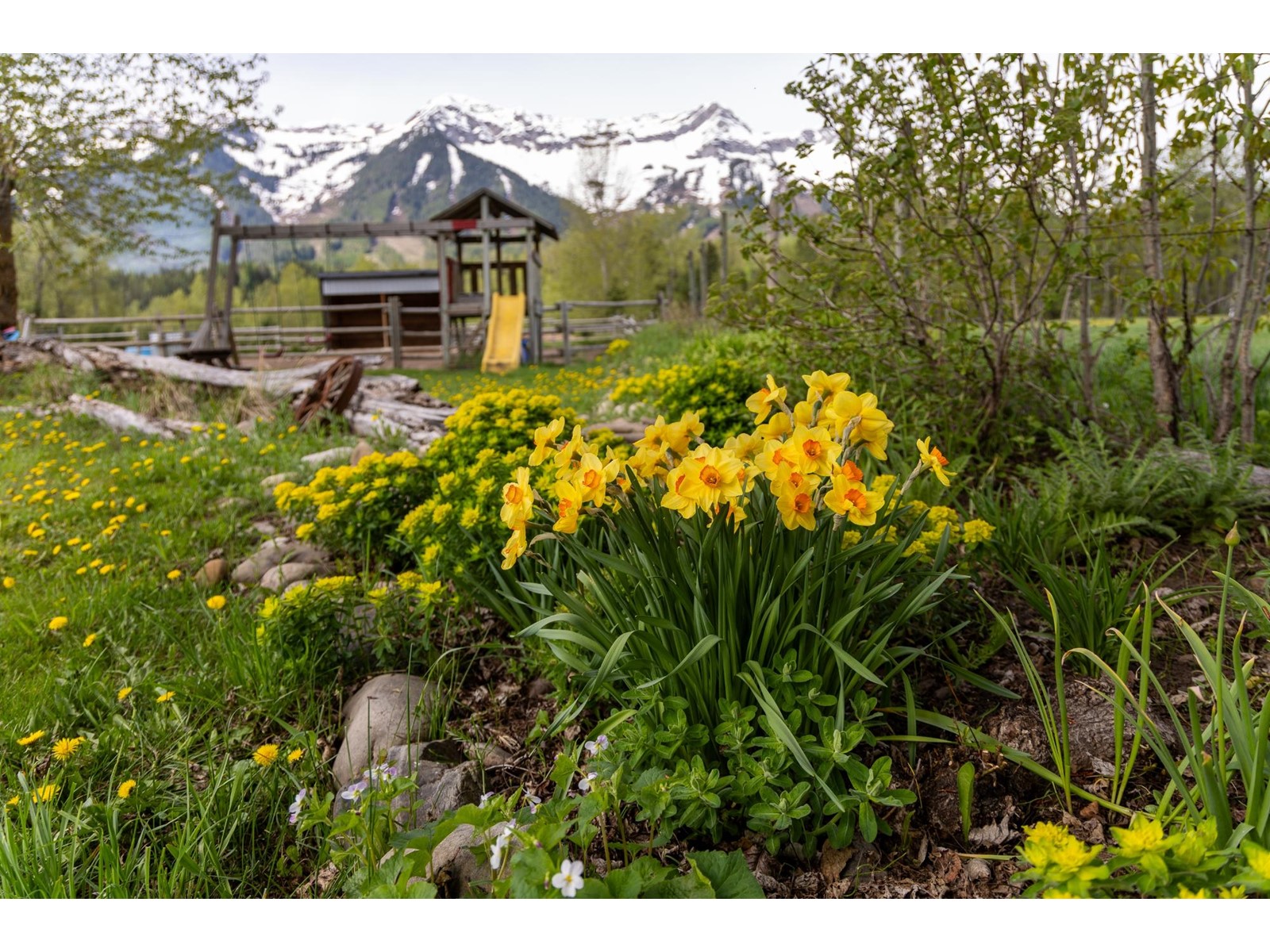 4103 Hill Road, Fernie, British Columbia  V0B 1M4 - Photo 55 - 2477069