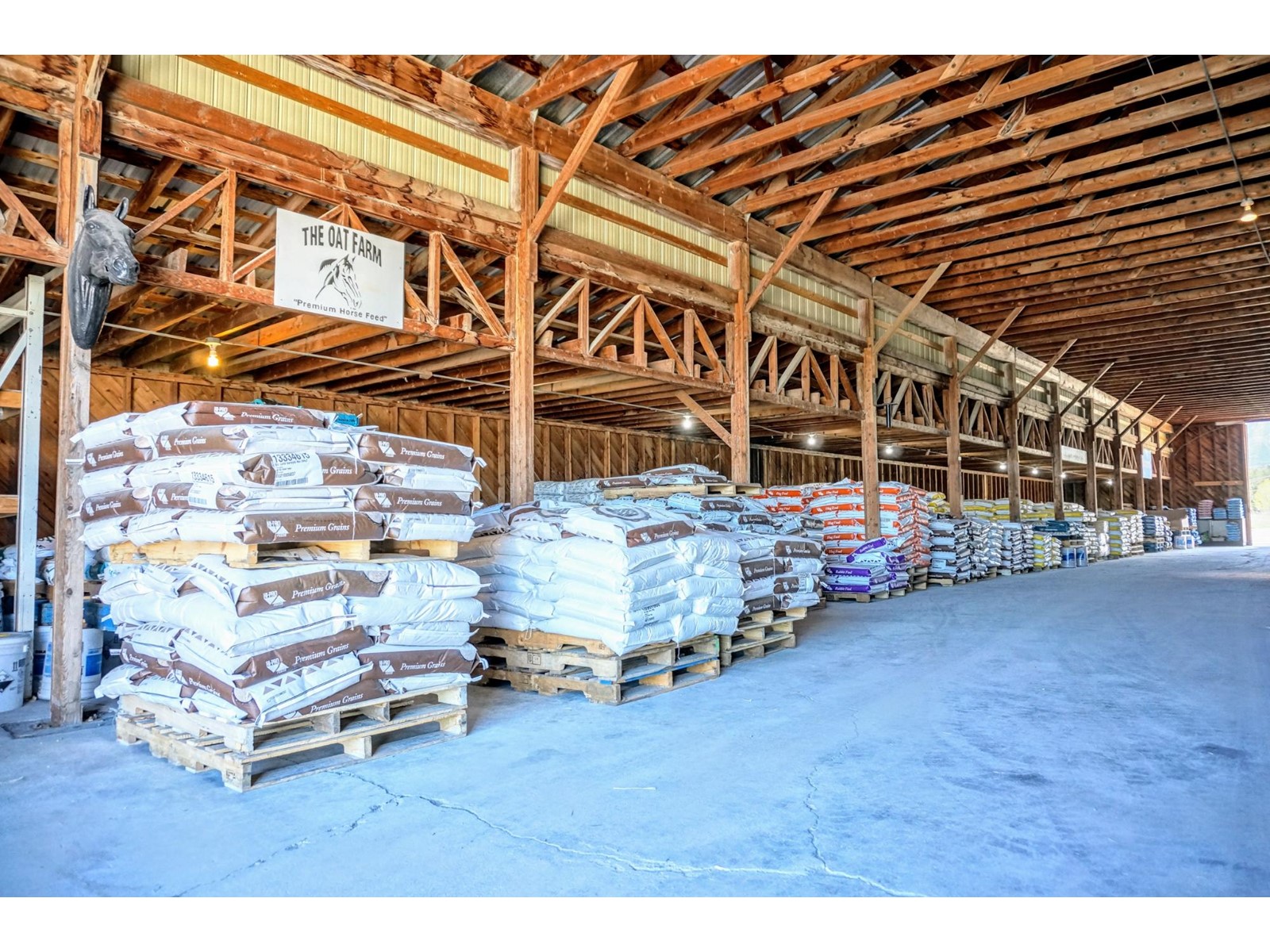 553 Highway 93/95, Windermere, British Columbia  V0A 1K3 - Photo 14 - 2476941