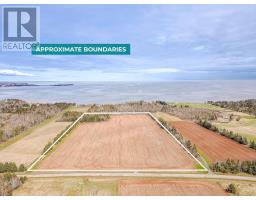 ACREAGE PRIMROSE Road-100;
