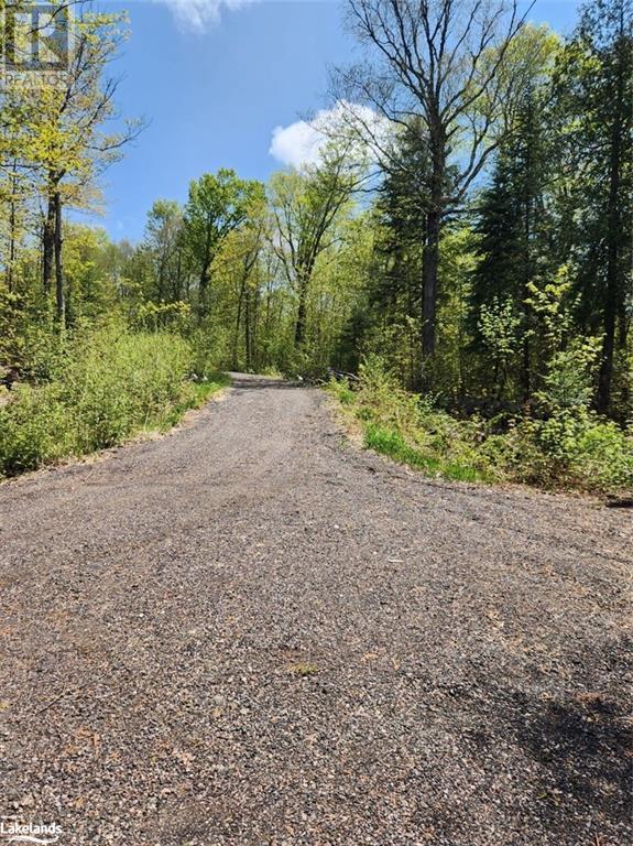 Part Lot 6 Summer Road Unit# Con 3, Lount, Ontario  P0A 1Z0 - Photo 11 - 40590793
