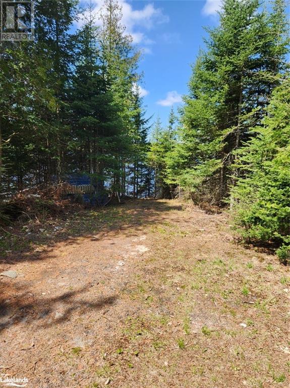 Part Lot 6 Summer Road Unit# Con 3, Lount, Ontario  P0A 1Z0 - Photo 12 - 40590793