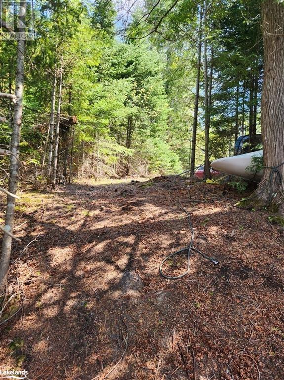 Part Lot 6 Summer Road Unit# Con 3, Lount, Ontario  P0A 1Z0 - Photo 13 - 40590793