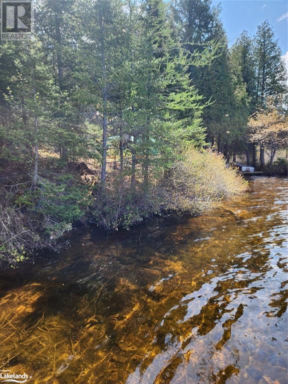 Part Lot 6 Summer Road Unit# Con 3, Lount, Ontario  P0A 1Z0 - Photo 14 - 40590793