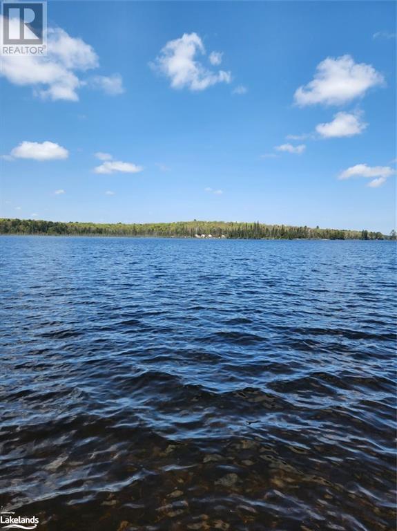 Part Lot 6 Summer Road Unit# Con 3, Lount, Ontario  P0A 1Z0 - Photo 16 - 40590793
