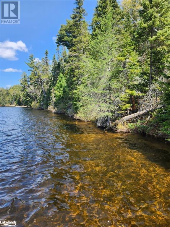 Part Lot 6 Summer Road Unit# Con 3, Lount, Ontario  P0A 1Z0 - Photo 2 - 40590793