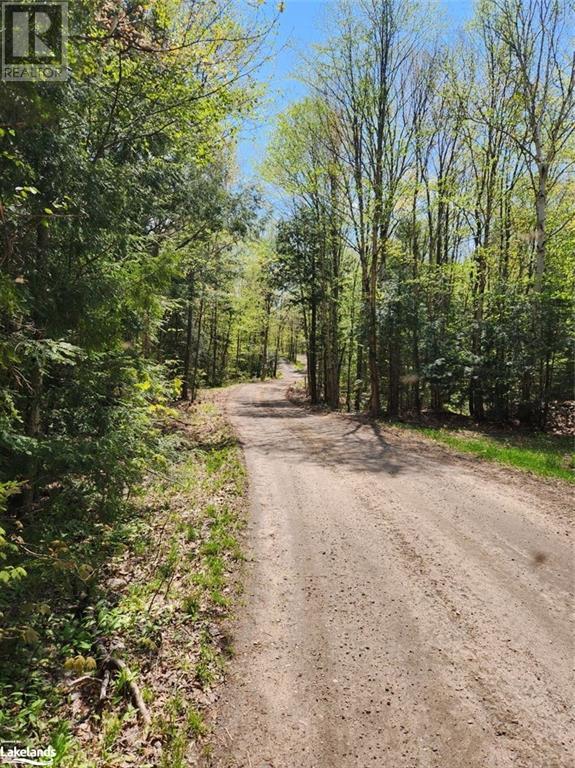 Part Lot 6 Summer Road Unit# Con 3, Lount, Ontario  P0A 1Z0 - Photo 20 - 40590793