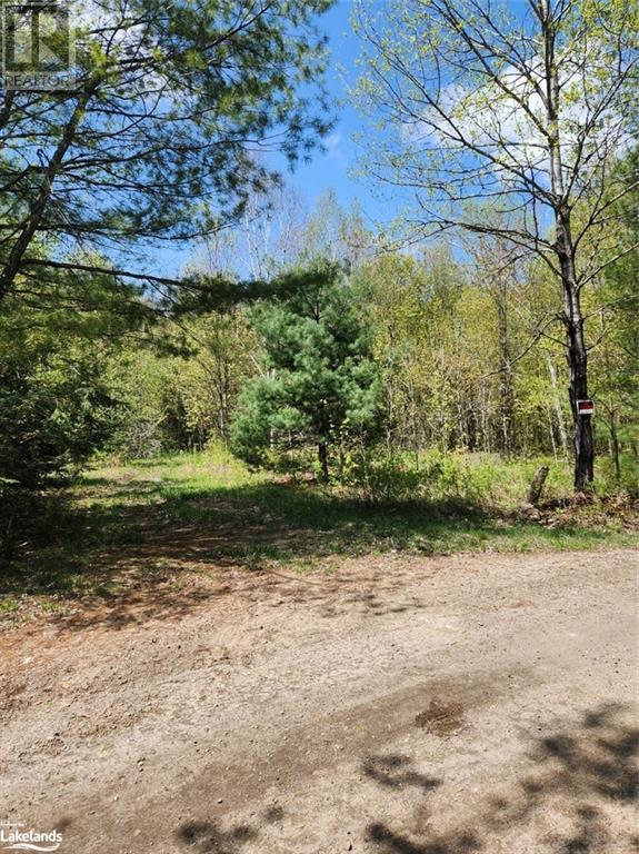 Part Lot 6 Summer Road Unit# Con 3, Lount, Ontario  P0A 1Z0 - Photo 3 - 40590793