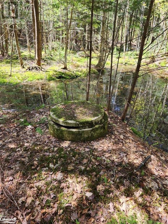 Part Lot 6 Summer Road Unit# Con 3, Lount, Ontario  P0A 1Z0 - Photo 8 - 40590793