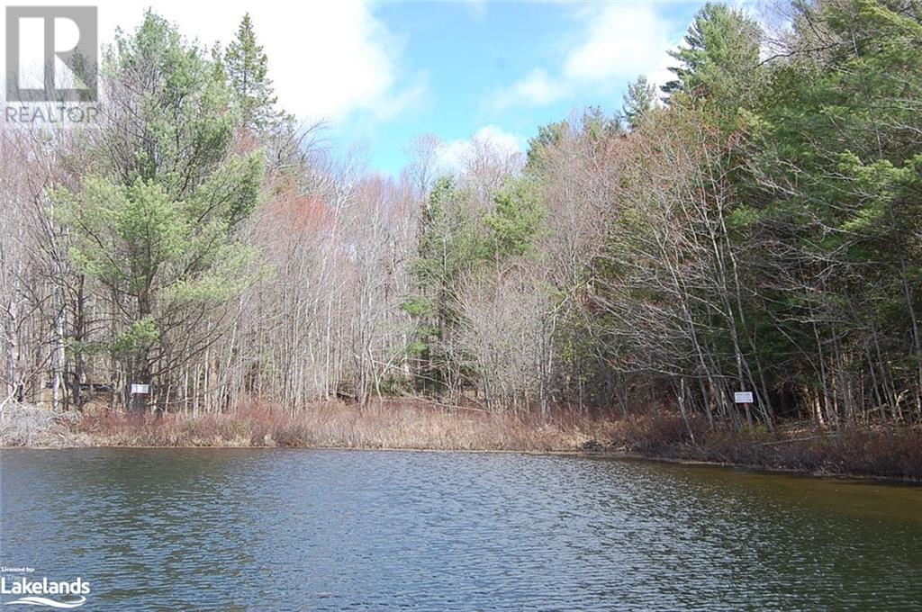 24 Zhaawashkwaa Miikan Road, Seguin, Ontario  P2A 0B2 - Photo 20 - 40591582
