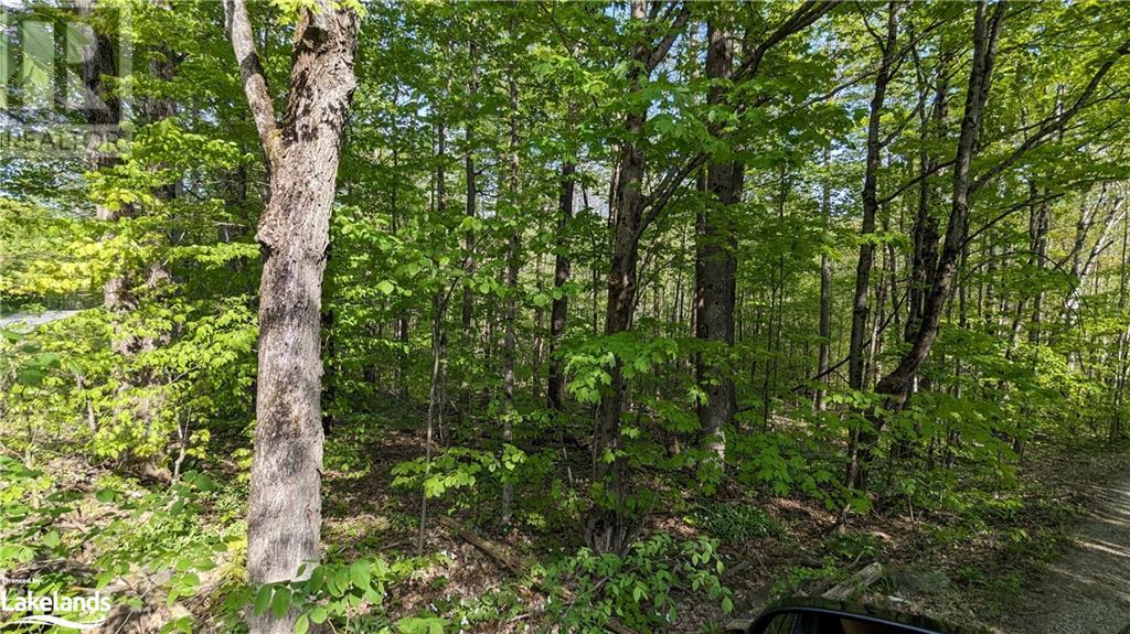 5 Northshore Road, Utterson, Ontario  P0B 1M0 - Photo 10 - 40591523